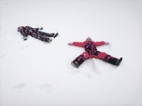 whatsapp image 2026-02-04 at 21.26.39 3